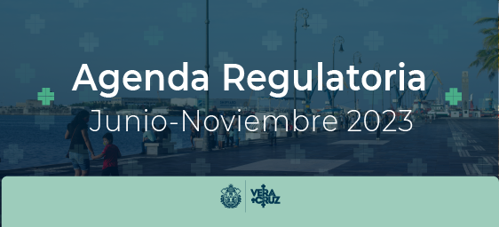 Agenda Regulatoria Junio - Noviembre 2023